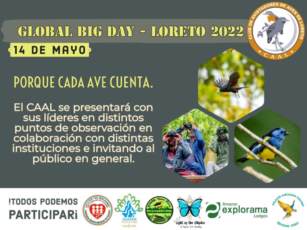 Global Big Day - 14 de mayo