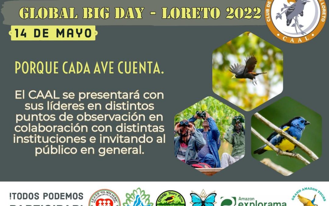 Global Big Day – 14 de mayo