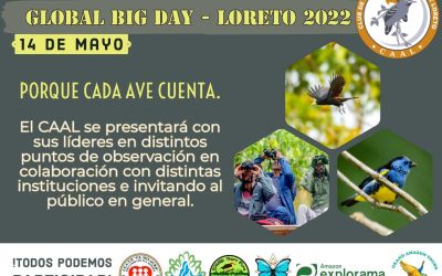 Global Big Day – 14 de mayo